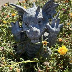 Dragon Delights