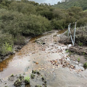 Del Mar Mesa Preserve - Flooded trail with stream crossing - Hiking Near Me - San Diego, California
