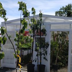 El Rancho Nursery