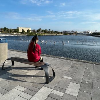 SoFi Stadium - lake is a great place to take pictures of you arrive early - Stadiums & Arenas Near Me - Inglewood, California