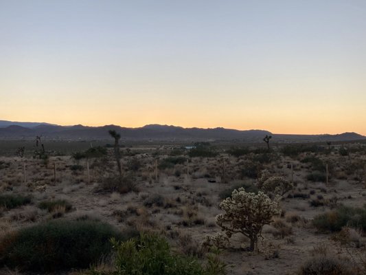 Kate's Lazy Desert by null