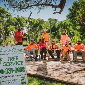 Made In The Shade - LET'S TALK TREES TUCSON.... - Tree Services Near Me - Tucson, Arizona Made In The Shade - LET'S TALK TREES TUCSON.... - Tree Services Near Me - Tucson, Arizona