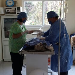 Zoocan - Los doctores Esther y Sealtiel