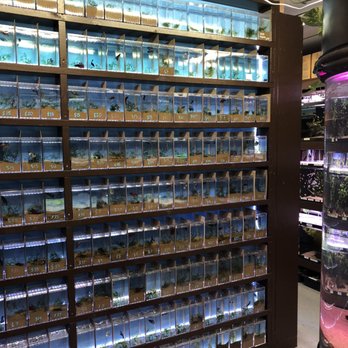 360 Aquatic - Local Fish Stores Near Me - Houston, Texas