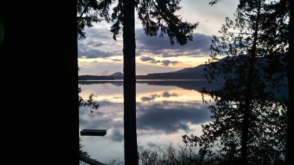 Lake Quinault Lodge by null