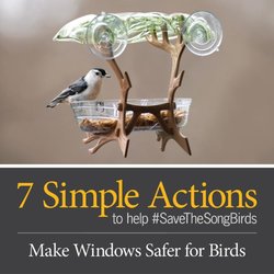 Wild Birds Unlimited