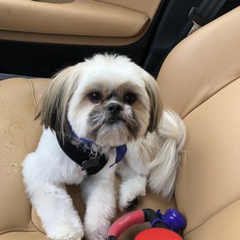 PetSmart - Pet Stores Near Me - Chicago, Illinois PetSmart - Pet Stores Near Me - Chicago, Illinois
