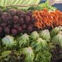 Photo of Downtown Crescent City Farmers Market
