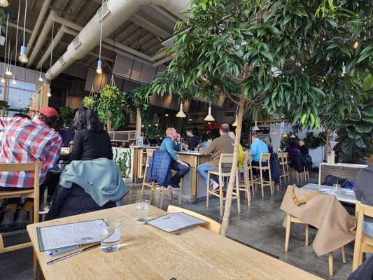 Bayberry Garden Restaurant by null