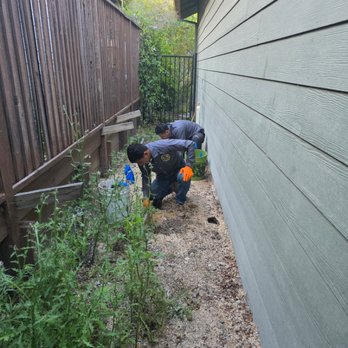 William Flores Gopher Control - Wildlife Control Near Me William Flores Gopher Control - Wildlife Control Near Me