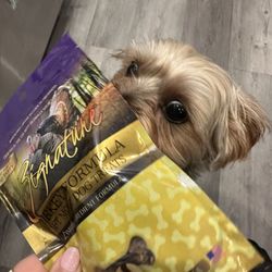 Living Pawsitively