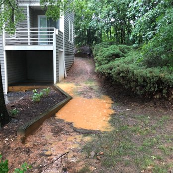 G&V Tree Service - After the Fix. - Tree Services Near Me - Springfield, Virginia G&V Tree Service - After the Fix. - Tree Services Near Me - Springfield, Virginia