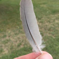 Crow Valley Campground