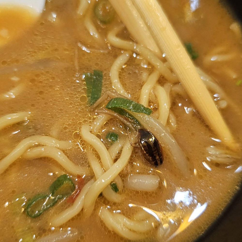 Naniwa-Ya Ramen - This place has ROACHES in their food!! - Ramen Near Me - Honolulu, Hawaii Naniwa-Ya Ramen - This place has ROACHES in their food!! - Ramen Near Me - Honolulu, Hawaii