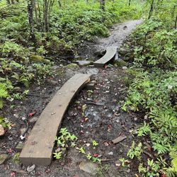 Beech Hill Preserve - Elevated walkways