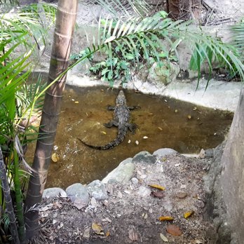 Zoologico De Vallarta - Zoos Near Me - Boca de Mixmaloya, JAL