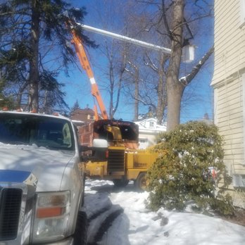 BJS Tree Service - a tree being removed from a house - Tree Services Near Me - Newark, New Jersey
