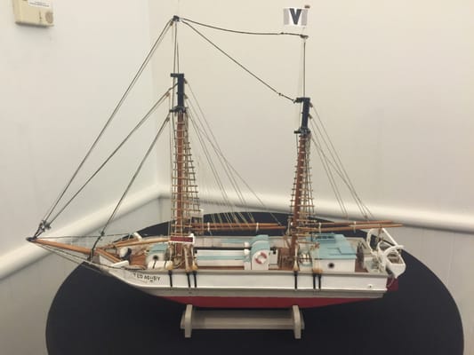 New Zealand Maritime Museum by null