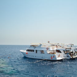Omneia - Tauchsafaris in Ägypten, Thailand, den Malediven
