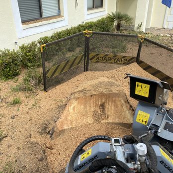 Stumps N Twigs - Tree Services Near Me - Tarpon Springs, Florida Stumps N Twigs - Tree Services Near Me - Tarpon Springs, Florida
