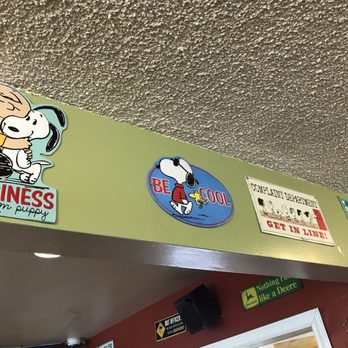 The Reyn - Someone likes snoopy - American Near Me - Pasadena, California The Reyn - Someone likes snoopy - American Near Me - Pasadena, California