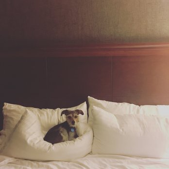 Holiday Inn Express - Hotels Near Me - Fort Atkinson, Wisconsin
