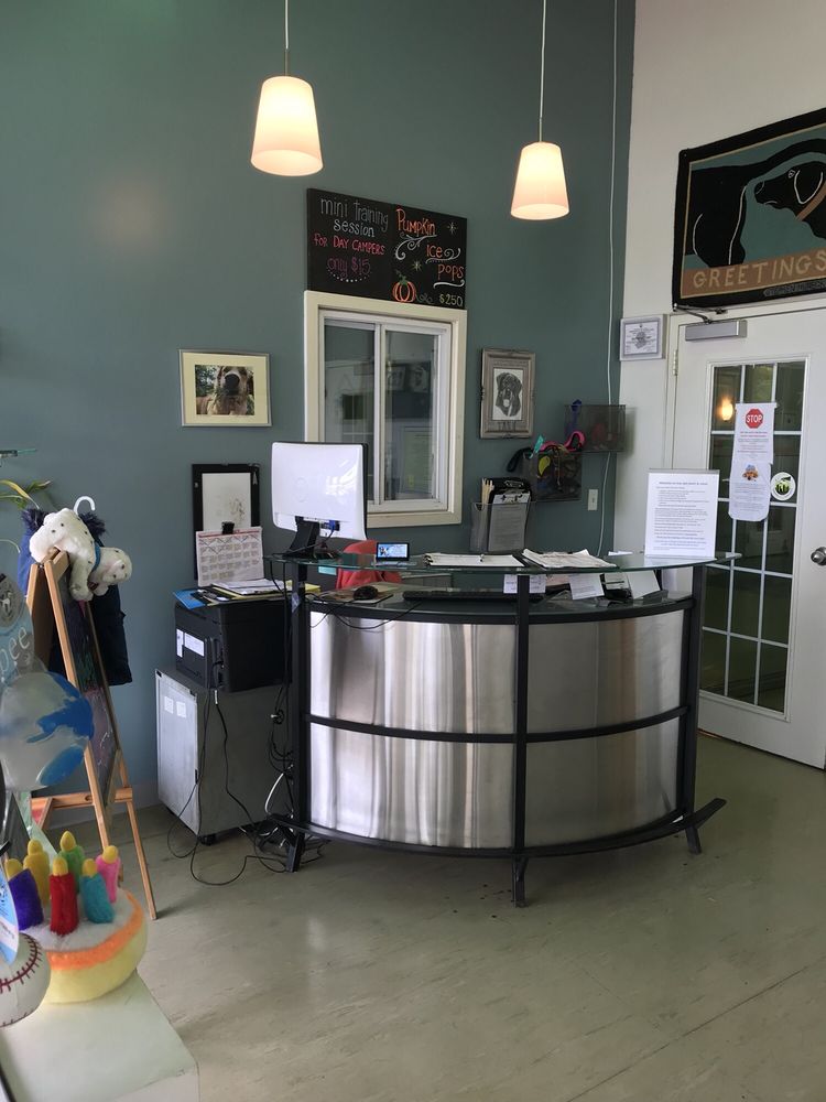 RIVER PET RESORT AND REHAB 31 Reviews Pet Training 725 River Rd