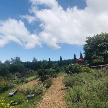 Ali'i Kula Lavender - Tours Near Me - Kula, Hawaii Ali'i Kula Lavender - Tours Near Me - Kula, Hawaii
