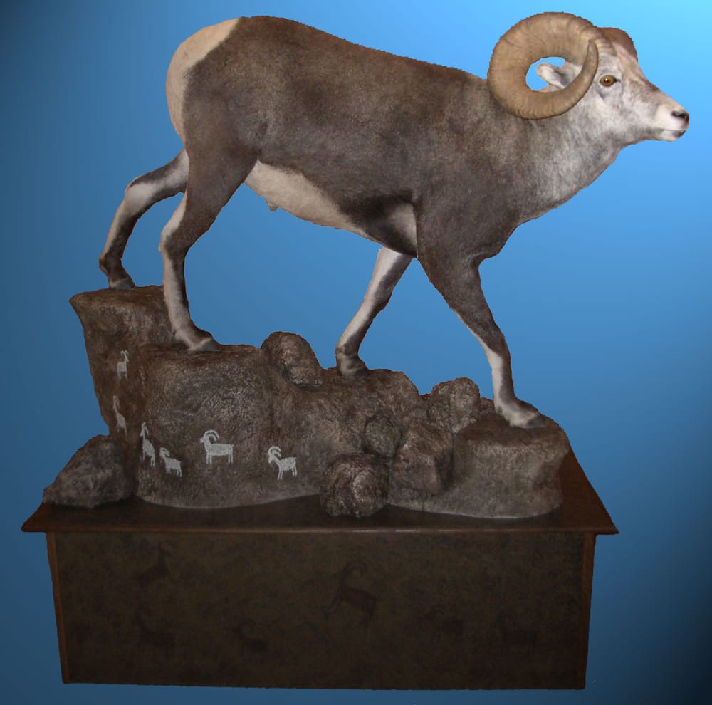 Lasting Impressions Taxidermy - taxidermy in Los Ranchos, NM