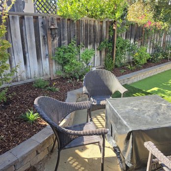 Jpm Landscape - Mix of existing bougainvillea & white roses in new raised planting area w Japanese maple in raised planting area. - Landscaping Near Me - San Jose, California