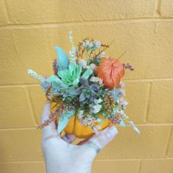Suburban Succulents Plant and Flower Shop