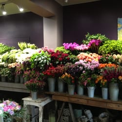 Le Tri Fleuri by Sophie