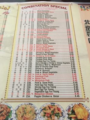 Beijing Garden by null