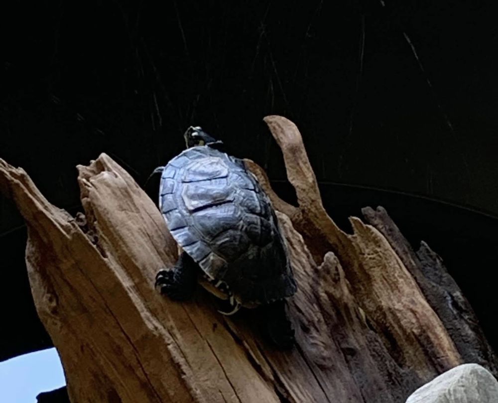 EXPRESSWAY ANIMAL HOSPITAL Updated August 2024 18 Photos & 18