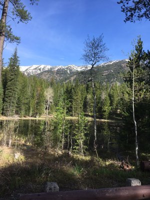 Beaver Creek Campground by null