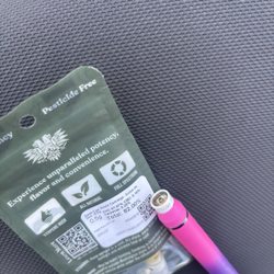 A Greener Today