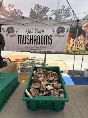 Downtown Long Beach Farmer's Market by null