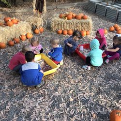 Stepping Stones Learning Center - Fun in our own playground Pumpkin Patch in October.