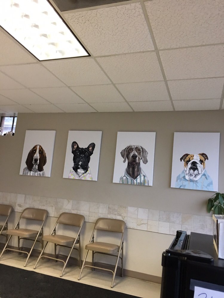 PORTER PET HOSPITAL 21 Photos & 28 Reviews Veterinarians 27529