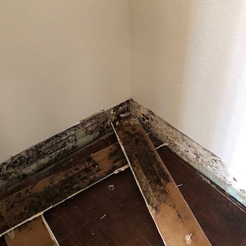 Integrity Restoration, Inc. - General Contractors Near Me - San Diego, California Integrity Restoration, Inc. - General Contractors Near Me - San Diego, California