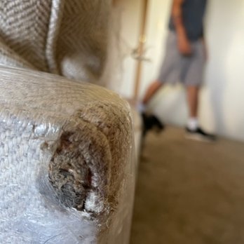 A2B Moving & Storage - This is how my new sectional was protected - Movers Near Me - Auburn, Washington A2B Moving & Storage - This is how my new sectional was protected - Movers Near Me - Auburn, Washington