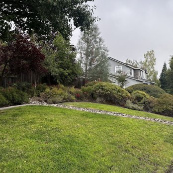 Alta Vista Landscaping and Tree Service - Prior to their work. - Landscaping Near Me - Placerville, California