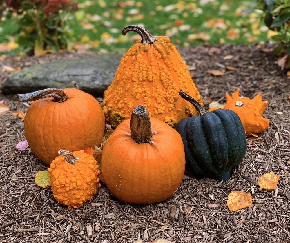 GLEN IRIS INN 197 Photos & 79 Reviews Bed & Breakfast 7