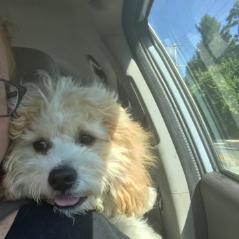 Colmar Veterinary Hospital - Pet Groomers Near Me - Colmar, Pennsylvania