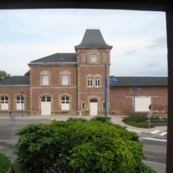 Fleur de Sureau