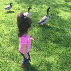 DeMeyer Park