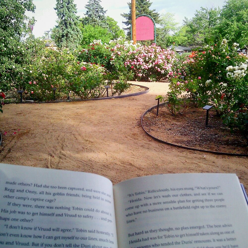 Tony Hillerman Library - The library rose garden. So many reasons I love this library. - Libraries Near Me - Albuquerque, New Mexico Tony Hillerman Library - The library rose garden. So many reasons I love this library. - Libraries Near Me - Albuquerque, New Mexico