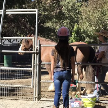 All Seasons Horse Riding - She was so nervous as she was waiting to meet her horse - Horseback Riding Near Me - Pleasanton, California All Seasons Horse Riding - She was so nervous as she was waiting to meet her horse - Horseback Riding Near Me - Pleasanton, California