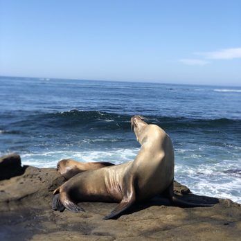 La Jolla Cove - Parks Near Me - La Jolla, California