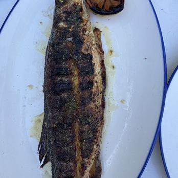 Mandolin Aegean Bistro - Grilled Whole Mediterranean Sea Bass - Mediterranean Near Me - Miami, Florida